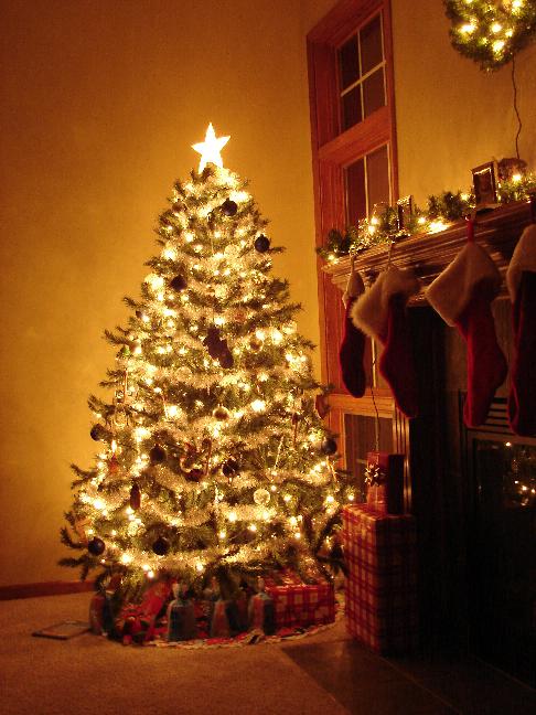 Our Christmas tree, 2005'